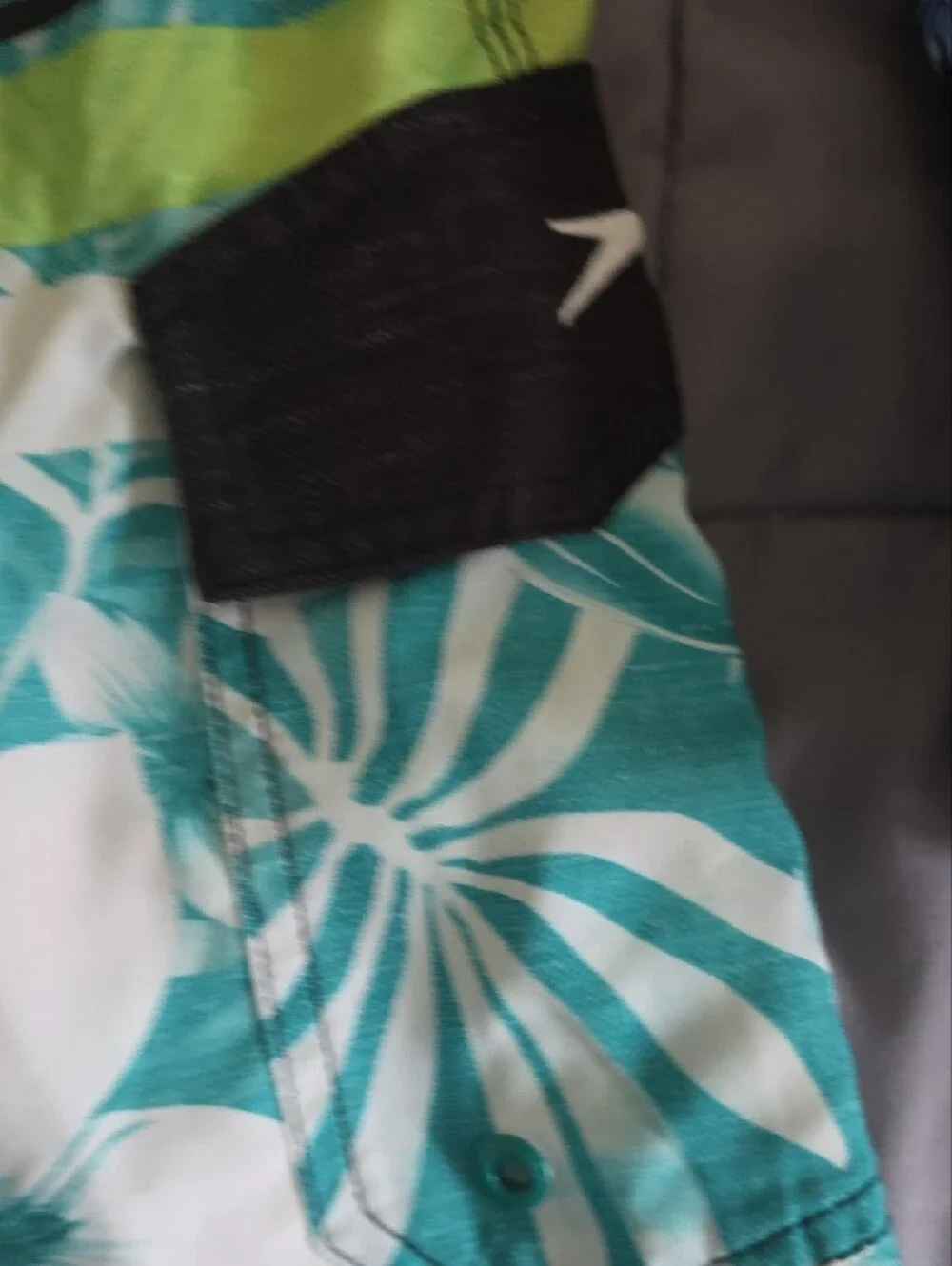 Speedo Teal Swim Briefs with Black Waistband Stripes